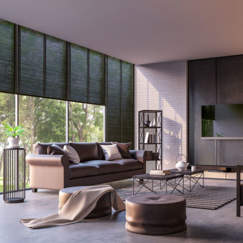home with black shades