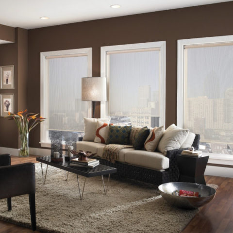 solar shades